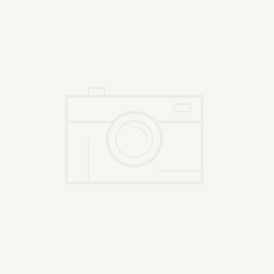 AI助力，網(wǎng)絡(luò)文學(xué)IP開發(fā)進(jìn)入新階段